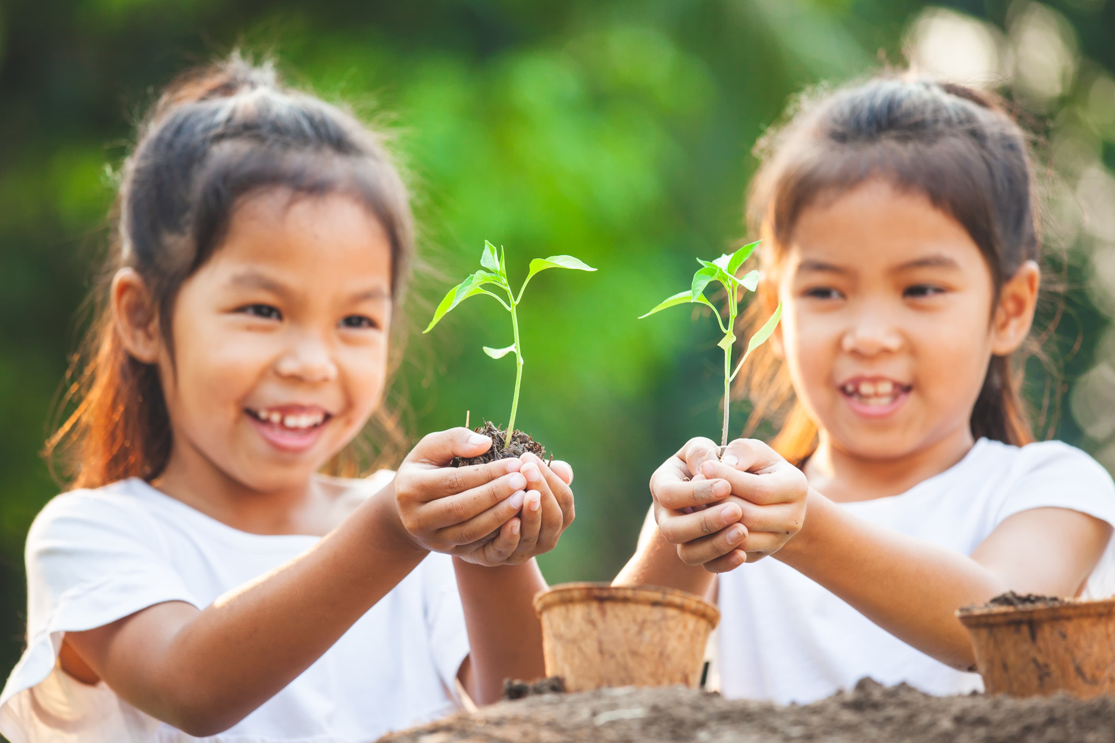 Two Asian child girls holding a young tree